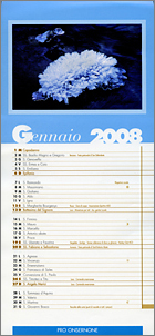 Copyright Roberto Buzzini