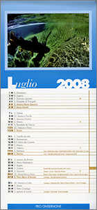 Copyright Roberto Buzzini