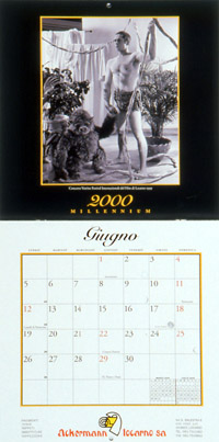 Copyright R. Buzzini