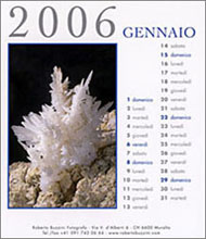 Copyright Roberto Buzzini