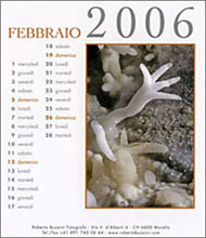 Copyright Roberto Buzzini