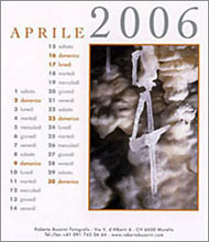 Copyright Roberto Buzzini