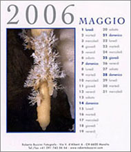 Copyright Roberto Buzzini