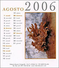 Copyright Roberto Buzzini