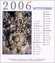 Copyright Roberto Buzzini