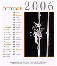 Copyright Roberto Buzzini