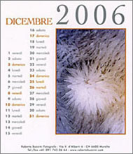 Copyright Roberto Buzzini