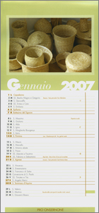 Copyright Roberto Buzzini