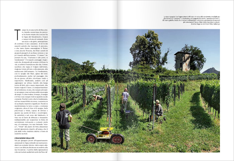 Copyright Ticino 7 - foto Roberto Buzzini