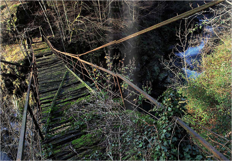 Copyright Ticino 7 - foto Roberto Buzzini